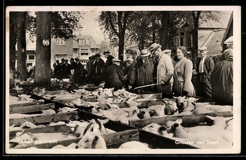 Carte postale texel - postale, marché