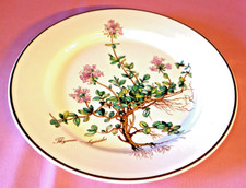 Villeroy Boch V&B Botanica breakfast plate thymus pulegiodes with root ø21-32636