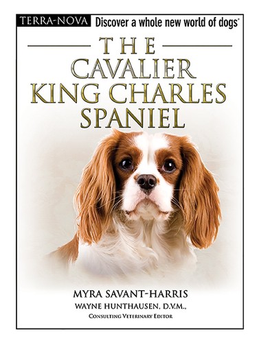 The cavalier king charles - the,