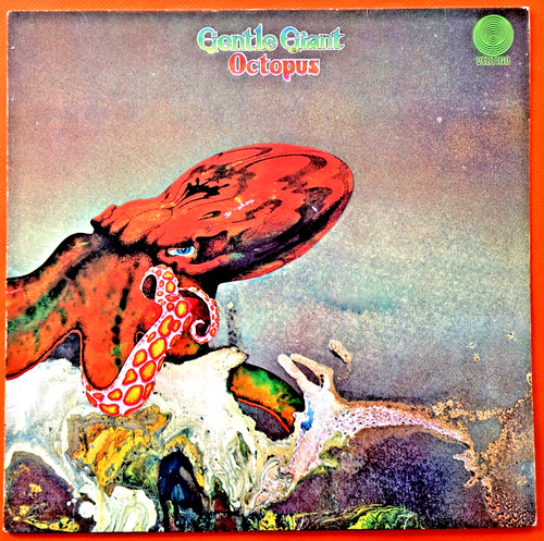 Octopus gentle giant - "gentle,