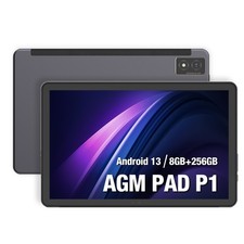 AGM PAD P1 4G Tablette Android