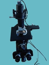 Microscope Wild Heerbrug M50