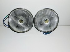 Rare Magnifique Paire De