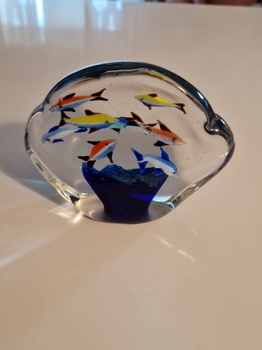 Murano grand aquarium poisson - aquarium,