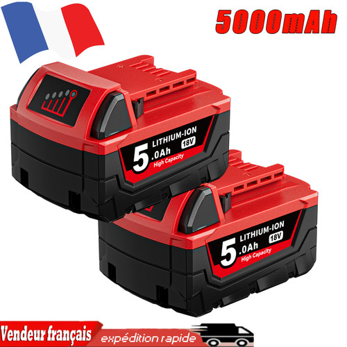 Batterie ion haute - 2x, li-ion