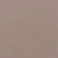 Morceau de cuir d'ameublement