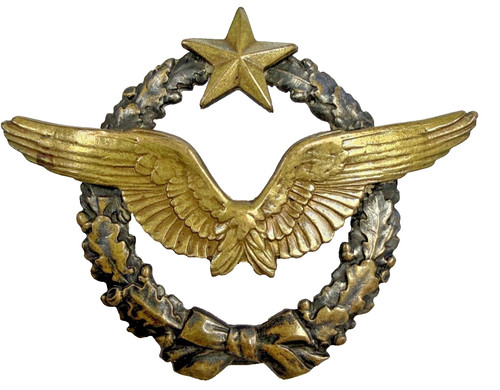 Brevet pilote avion - brevet,