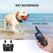 Collier de Dressage pour Chien électrique à Distance étanche Rechargeable