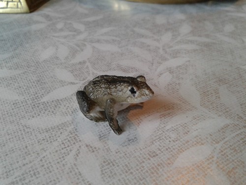 Crapaud prior - le,