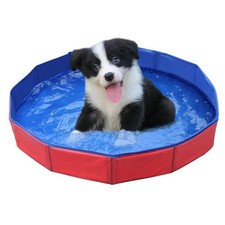 Piscine Chien Petit,50x8cm