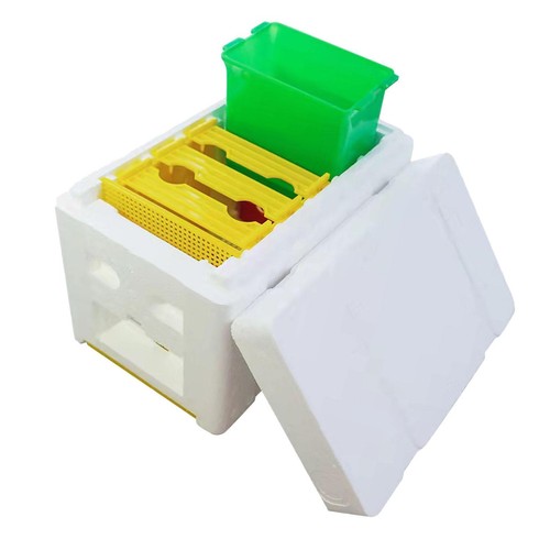 Kit élevage cadres de - d'élevage,