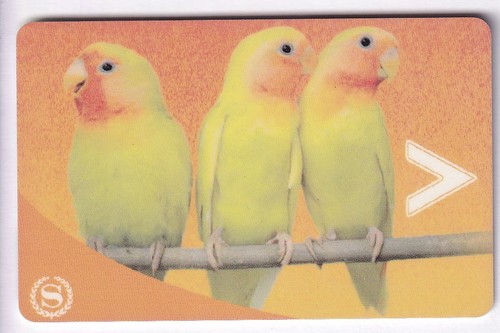 Carte card hotel cle key - hotel,