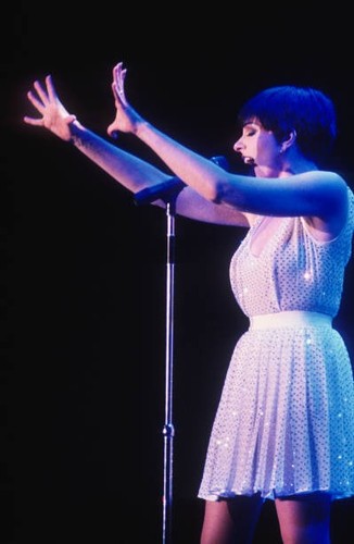 Liza minnelli sportpaleis - minnelli,