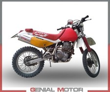 Pot d'Echappement GPR TRIOVAL