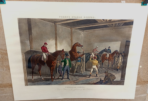 Gravure ancienne chevaux fores - chevaux,