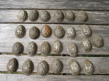 Lot of 25 Antique Chocolate Nut Cookie Molds Cute.. Metal
