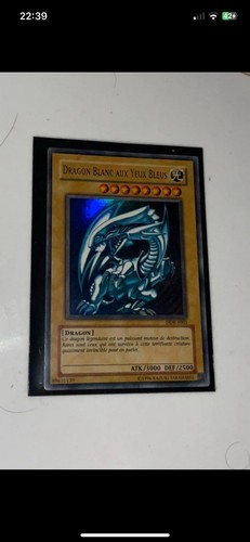 Dragon blanc aux - |,
