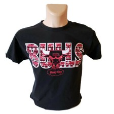 Chicago Bulls NBA Championship