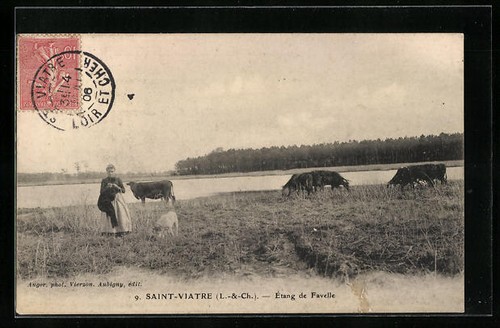 Cpa viatre etang - st-viatre,,