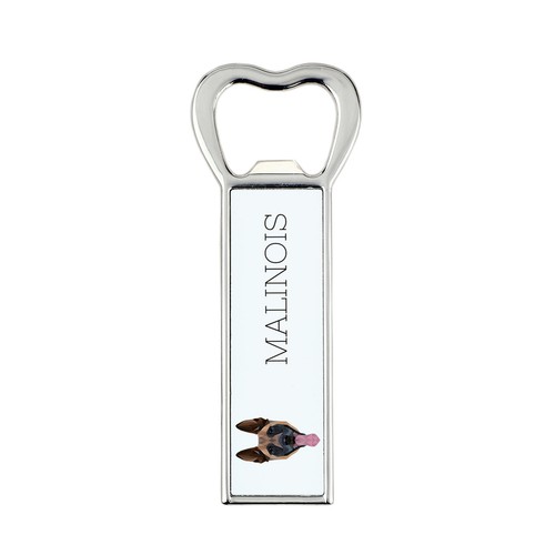 Berger belge malinois - berger,