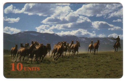 10u troupeau chevaux - de, dans