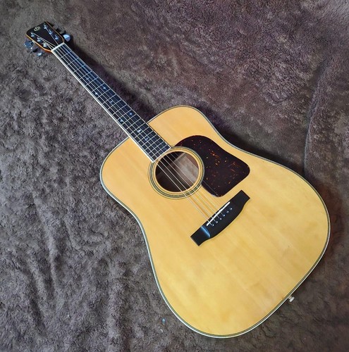 Guitare acoustique takamine - acoustique,