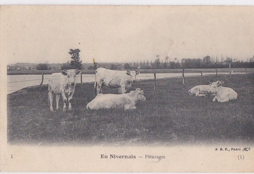 Cpa bourgogne en - cpa, 58