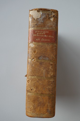 Schrevelius cornelius - schrevelius,