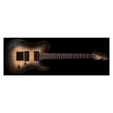 ESP LTD TE-1000 ET FM Noir