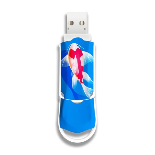 Clé usb xpression 128 - xpression, go