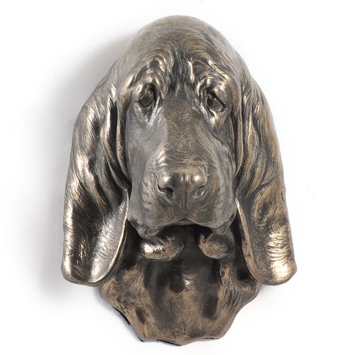 Chien basset hound tête - chien,