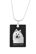 Spitz japonais collier en