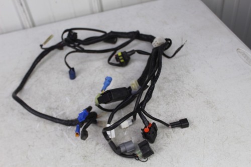 2024 2026 gas - gas, 450