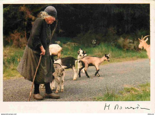 Carte postale animaux - carte,