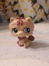 PETSHOP CHIEN CHOW CHOW