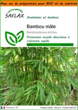 SAFLAX - Garden in the bag -