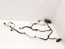 Renault Espace IV 2.0dCI 127kW 2007 Front Right Wiring Harness Wiring Kit Door 