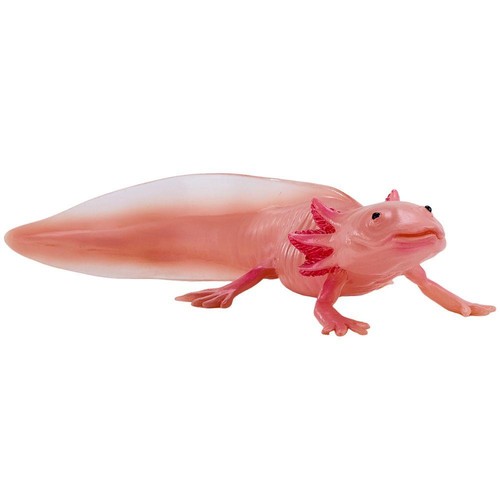 Axolotl rose environ de - 10, cm