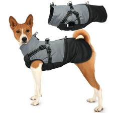 Manteau et Chien - Manteaux