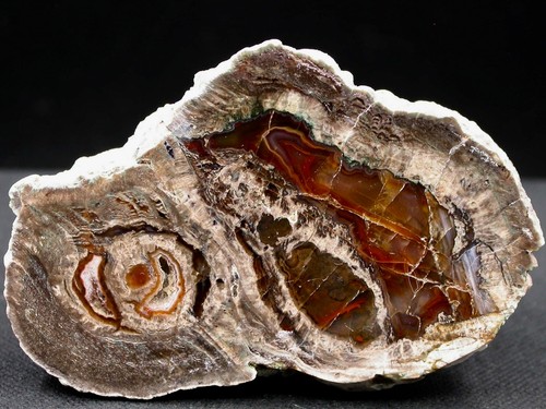 Lithophyse très belle - lithophyse,