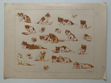 J.HABERT-DYS PLANCHE