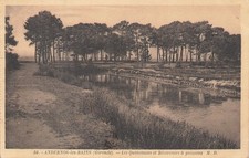 ANDERNOS LES BAINS LE RESERVOIR A FISH 19435