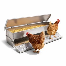 Mangeoire Automatique Poules