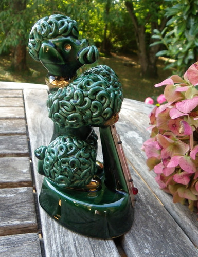 Chien caniche thermomètre - caniche,