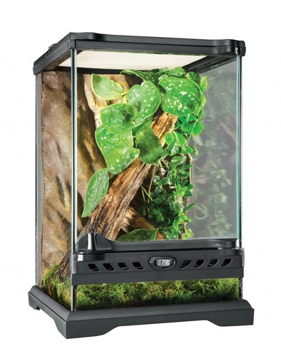 Terrarium verre hagen - verre, exo