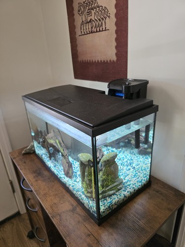 Gallon aquarium complete - gallon,