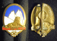 INSIGNE MILITAIRE – 99°