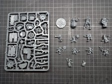 Snotling Blood Bowl Team –