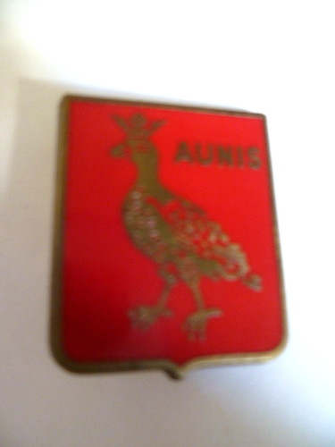 Ancien insigne pucelle - insigne,