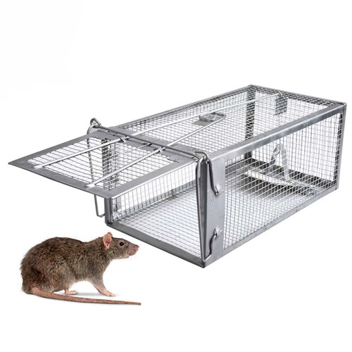 Piège cage humain écureuil - cage,
